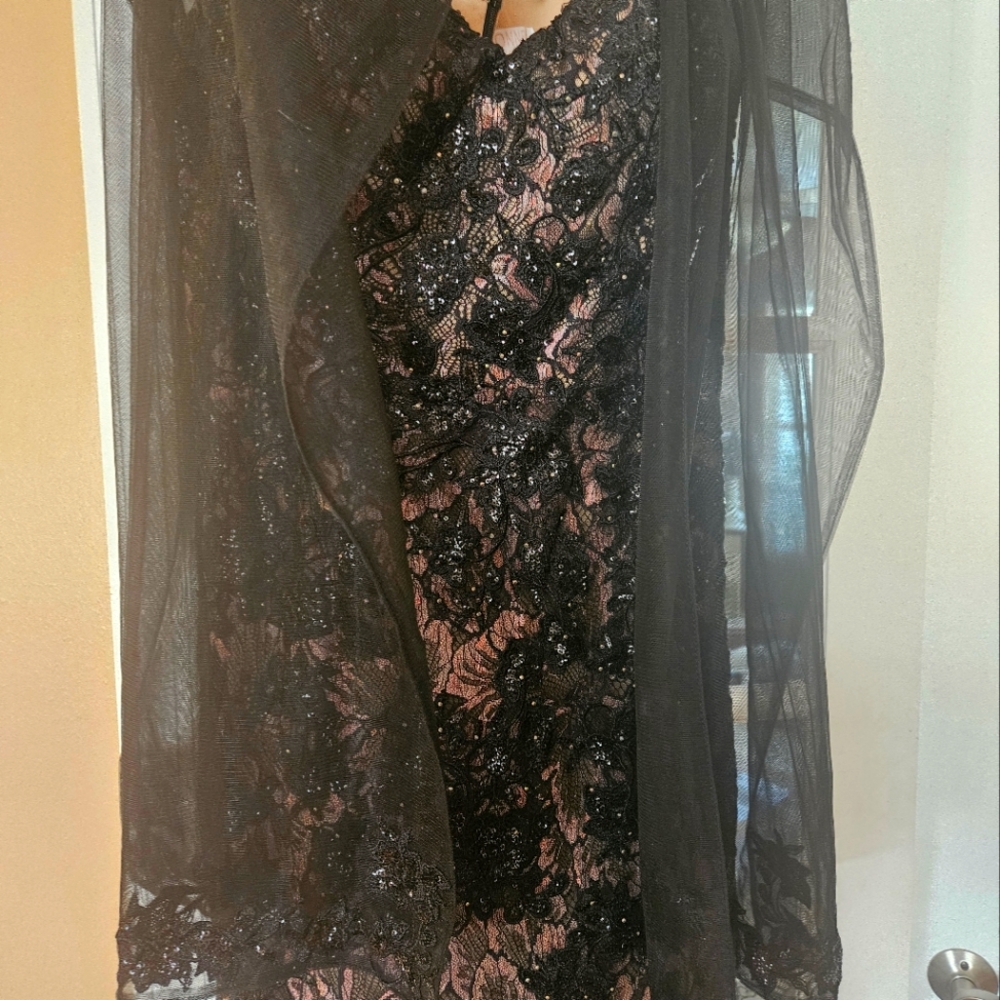 Ivonne D size 16 With A Few Alterations! - Picture 11 of 16